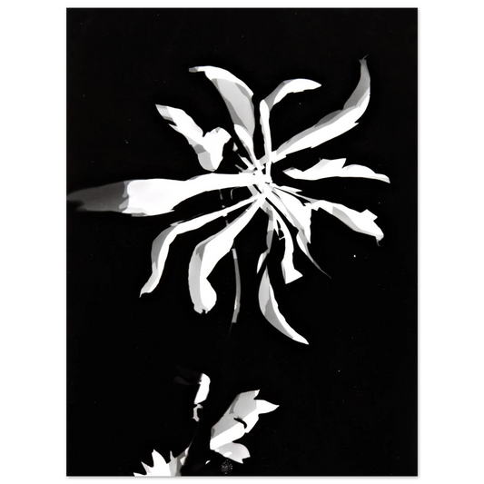 Changing Patterns by Laszlo Moholy-Nagy – art poster