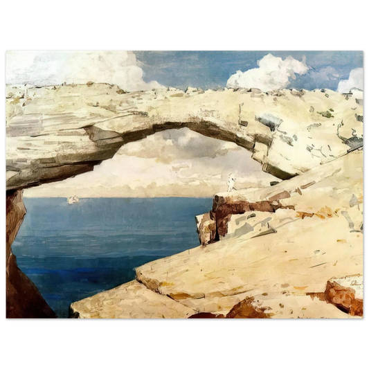 Glass Windows Bahamas by Winslow Homer (1885) – art poster