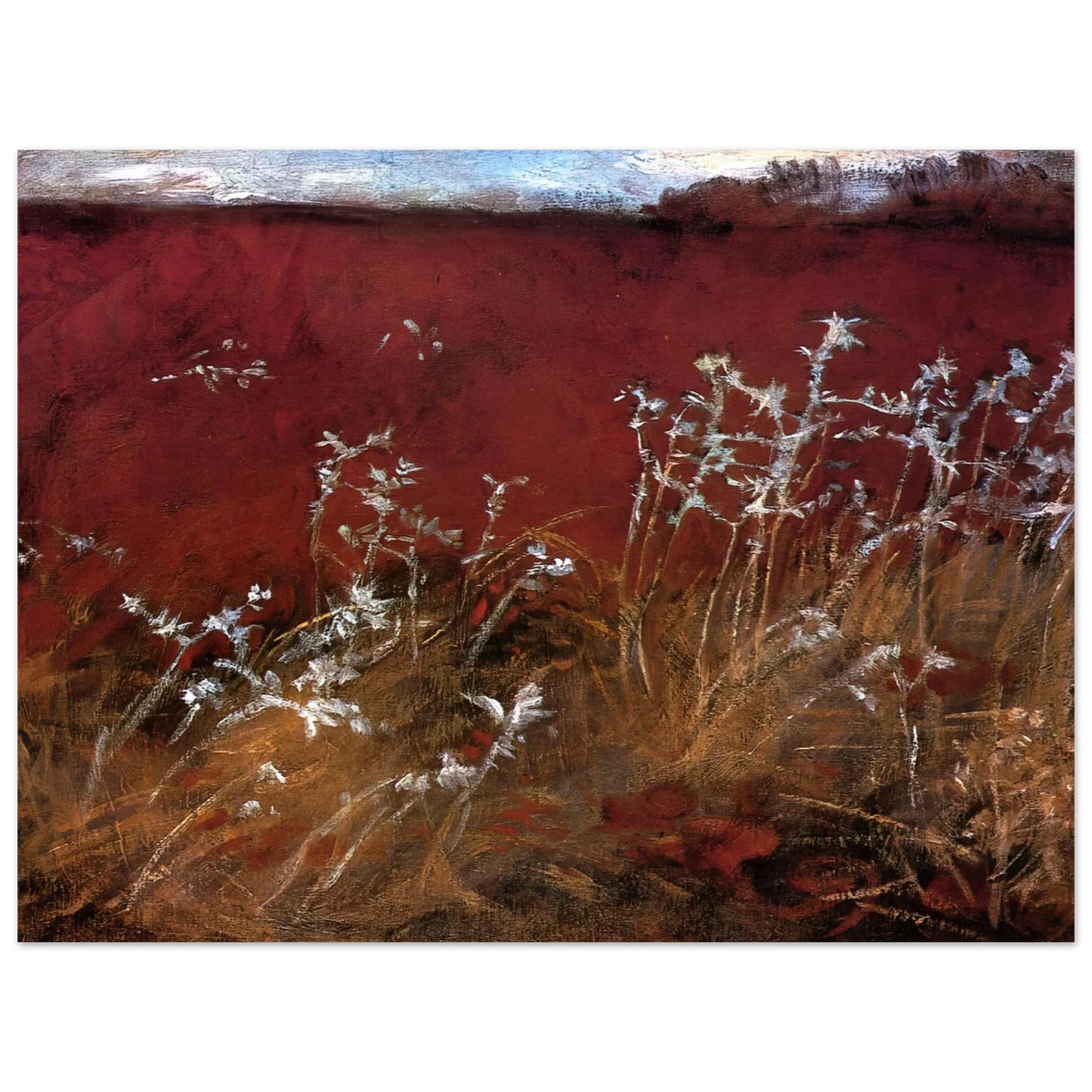 Thistles by John Singer Sargent – art poster, view 2