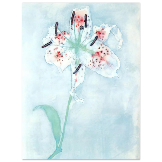 Lily by Piet Mondrian – art poster