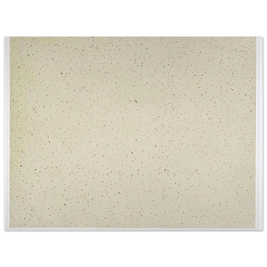Night Sky 2 Reversed by Vija Celmins (2002) – art poster, view 2