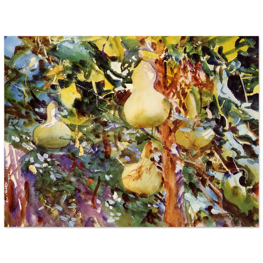 Gourds by John Singer Sargent – art poster