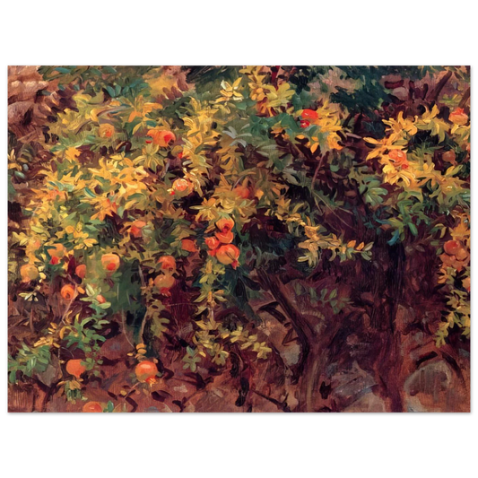Pomegranates by John Singer Sargent – art poster