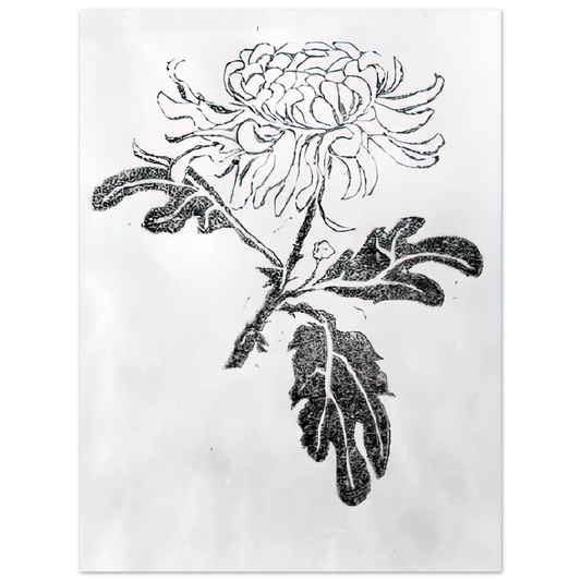 Chrysanthemum by M.C. Escher – art poster