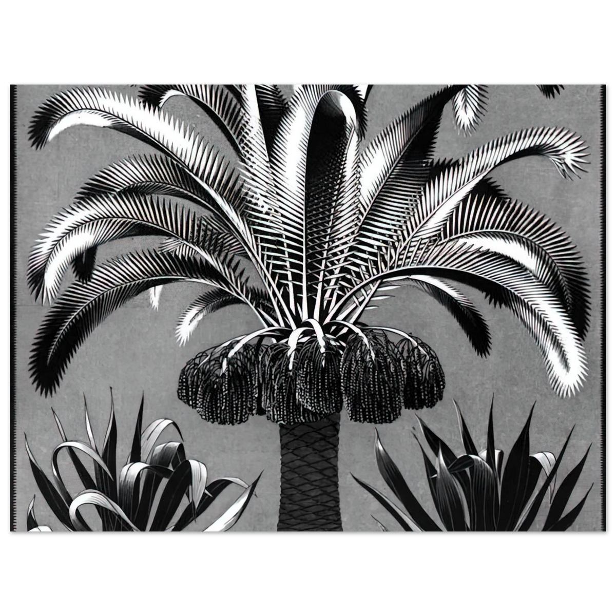 Palm by M.C. Escher – art poster, view 2