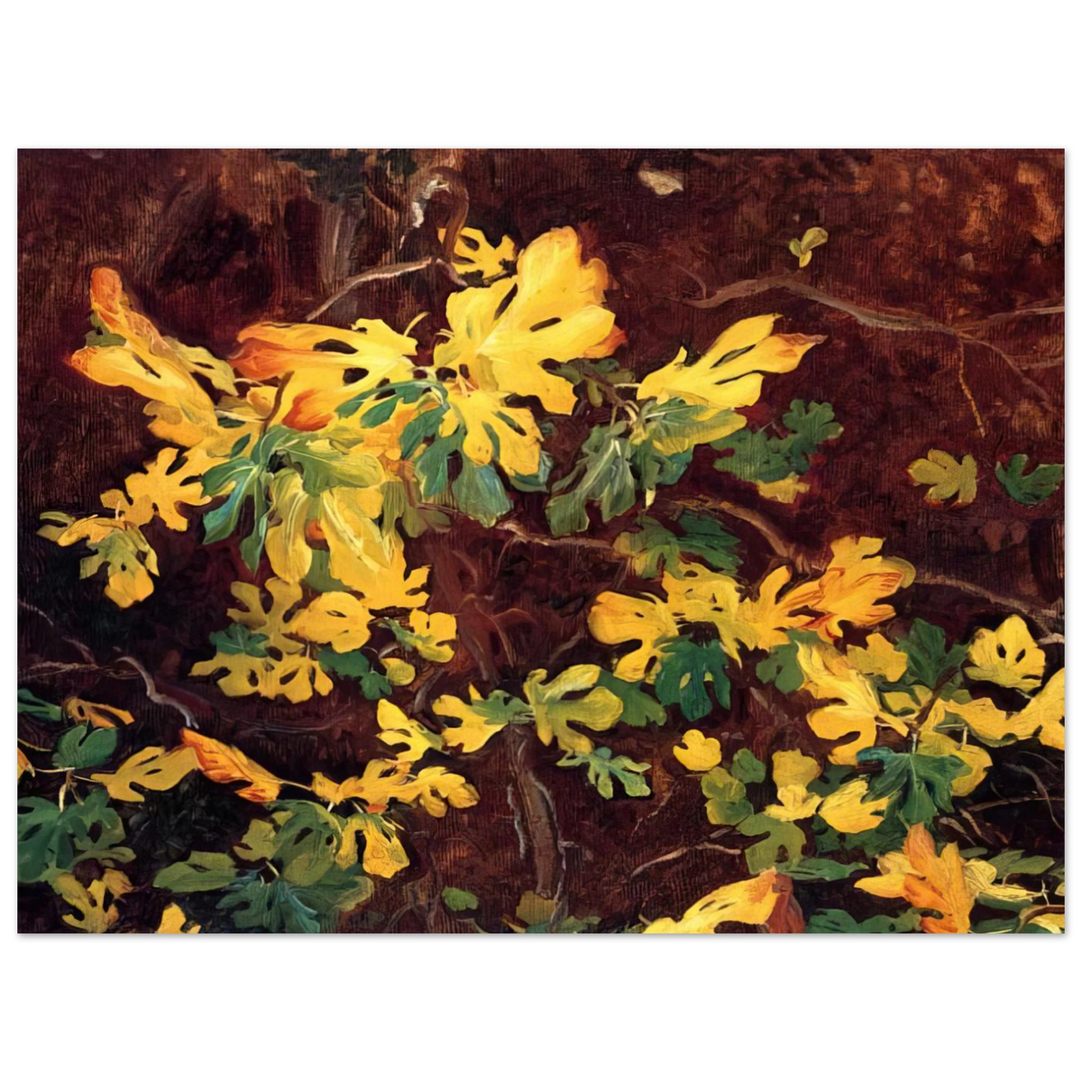 Study Of A Fig Tree by John Singer Sargent – art poster, view 2