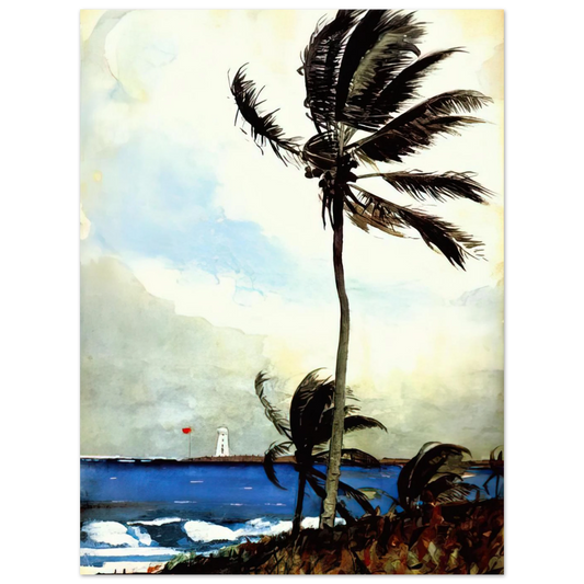 Palm Tree Nassau by Winslow Homer – art poster