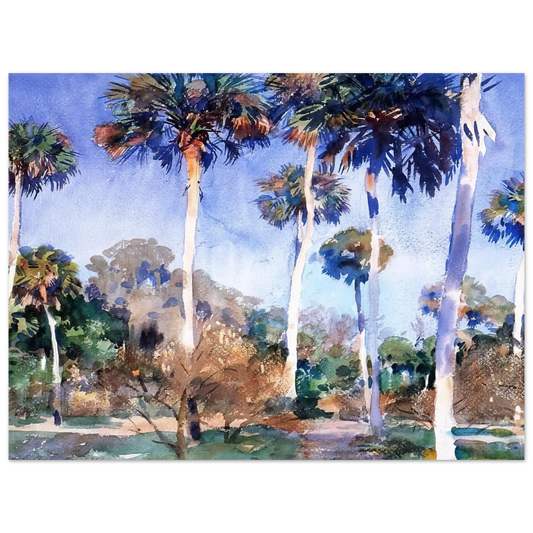 Palms by John Singer Sargent – art poster
