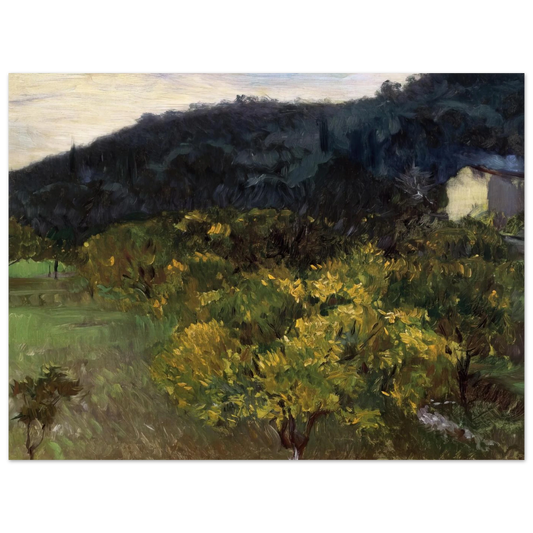 Landscape Near Grasse by John Singer Sargent – art poster