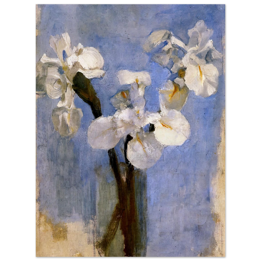 Flowers Sun by Piet Mondrian – art poster
