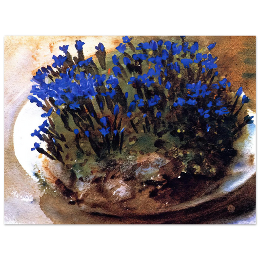 Blue Gentians by John Singer Sargent – art poster, view 2