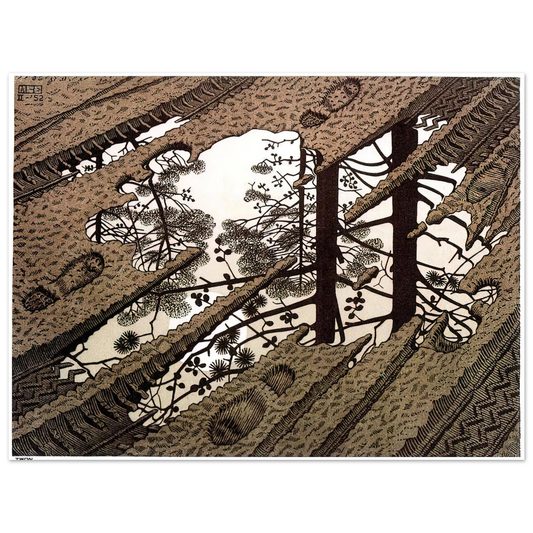 Puddle by M.C. Escher – art poster