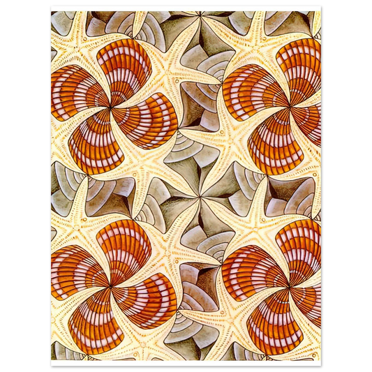 Shells And Starfish by M.C. Escher – art poster