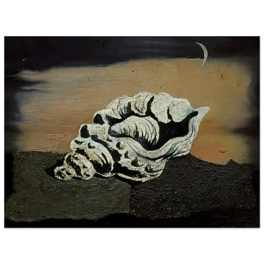 Shell by Salvador Dali – art poster, view 2