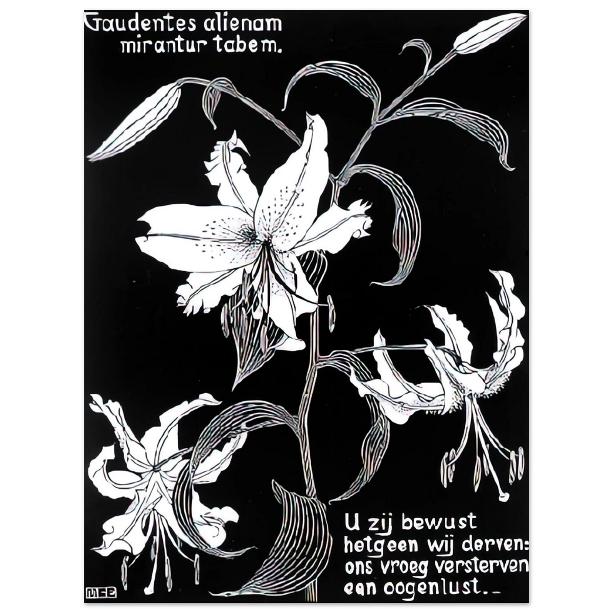 Flowers by M.C. Escher – art poster, view 2