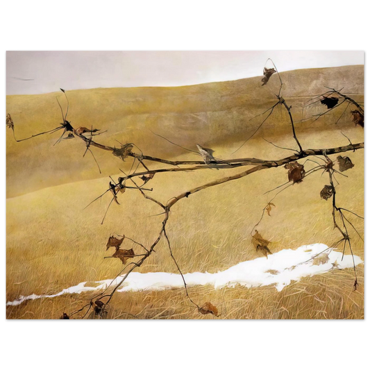 Long Limb by Andrew Wyeth – art poster, view 2