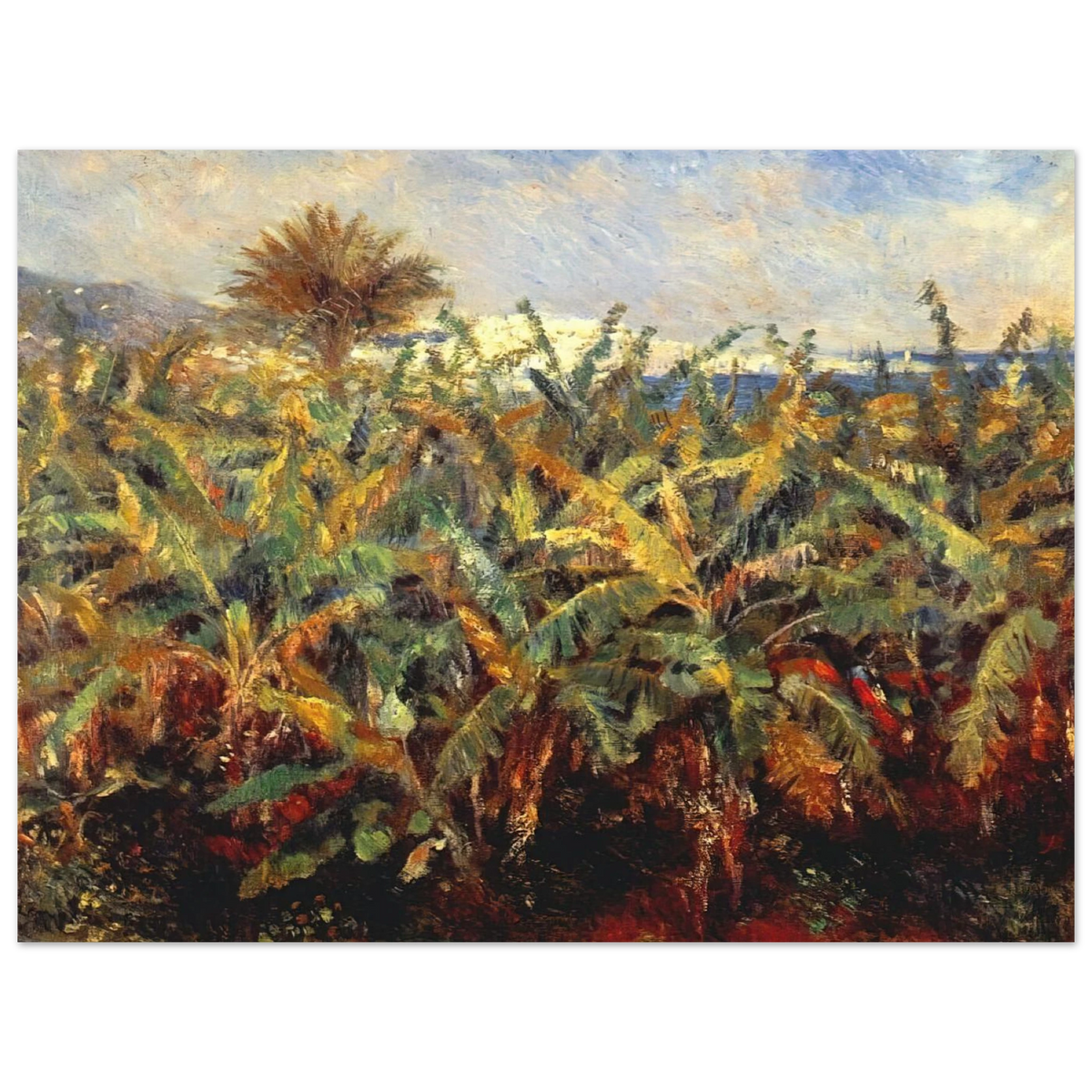 Field Of Banana Trees by Pierre-Auguste Renoir – art poster, view 2