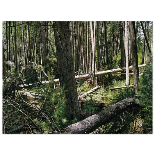 Near Hunters Beach Acadia National Park by Richard Estes (2008) – art poster, view 2