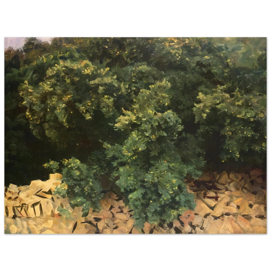 Ilex Wood, Majorca by John Singer Sargent – art poster