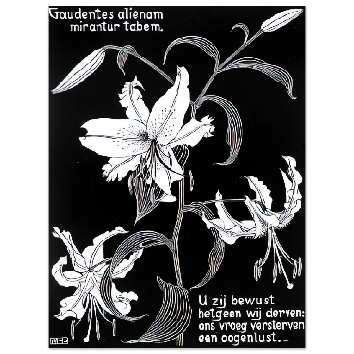 Flowers by M.C. Escher – art poster