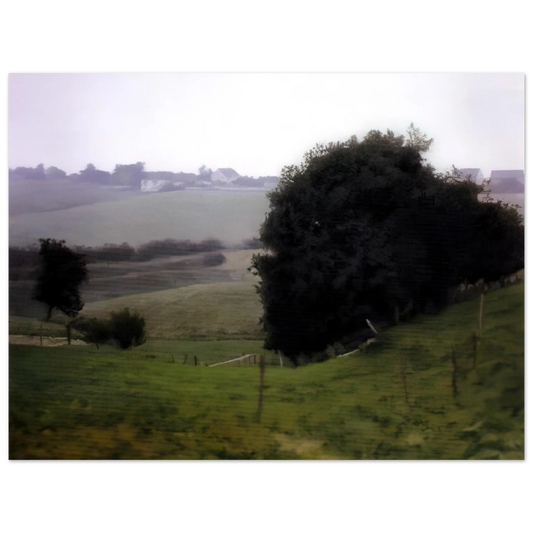 Meadowland by Gerhard Richter – art poster