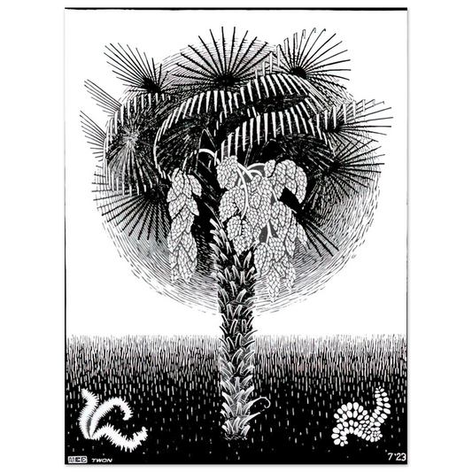 Palm Tree by M.C. Escher – art poster