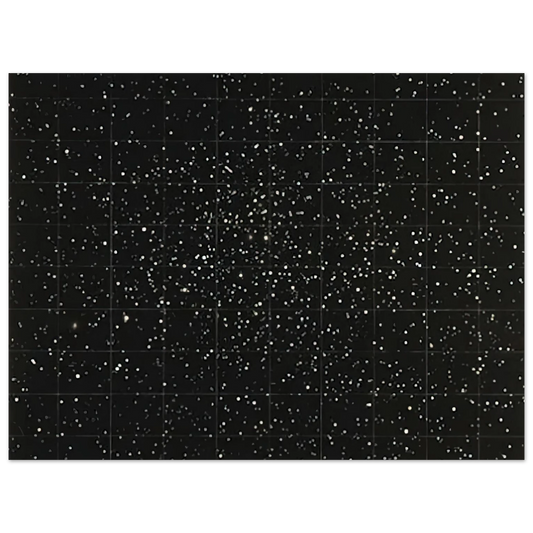 Strata by Vija Celmins (1983) – art poster, view 2