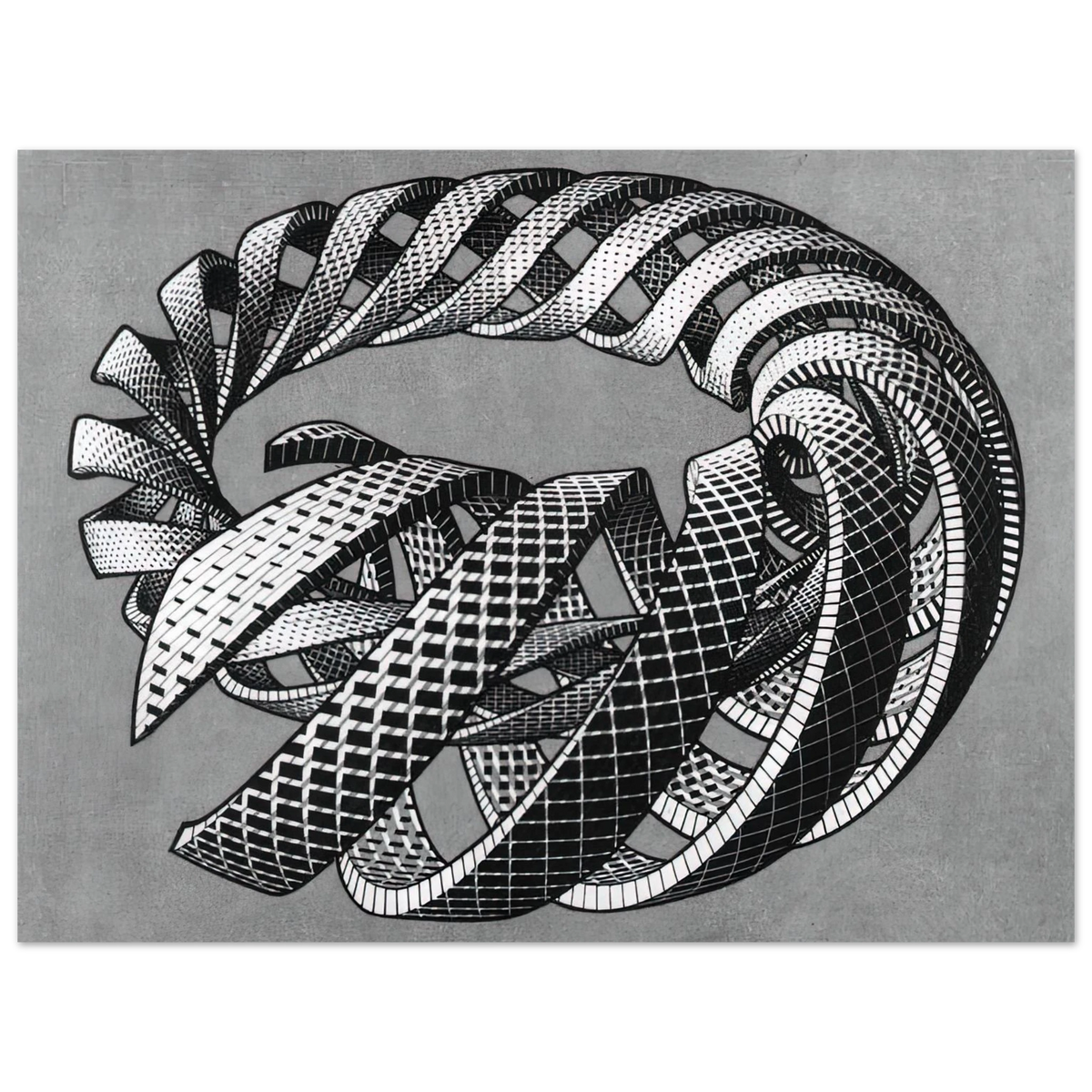 Spirals by M.C. Escher – art poster