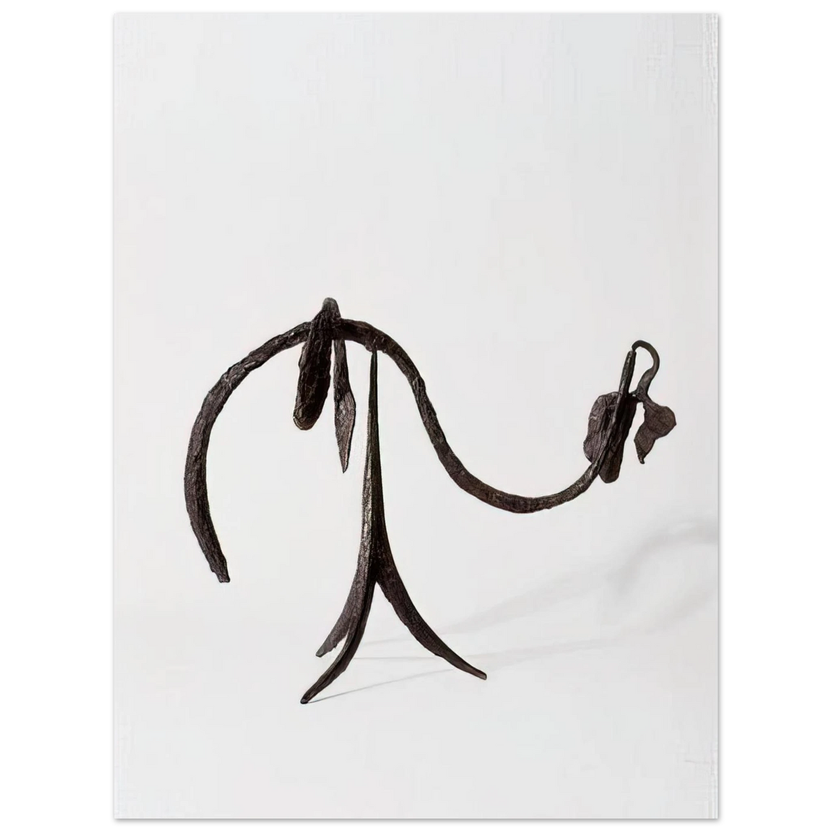The Vine by Alexander Calder (1944) – art poster, view 2