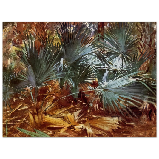 Palmettos by John Singer Sargent – art poster