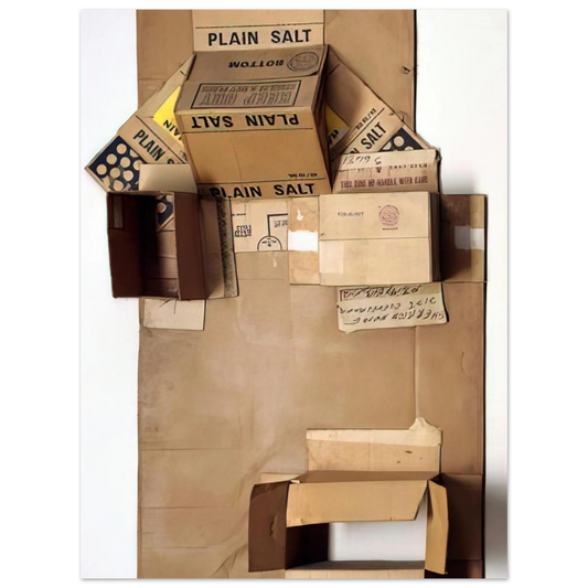 Plain Salt Cardboard by Robert Rauschenberg (1971) – art poster