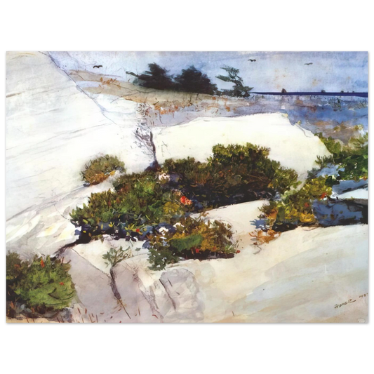 Maine Cliffs by Winslow Homer – art poster