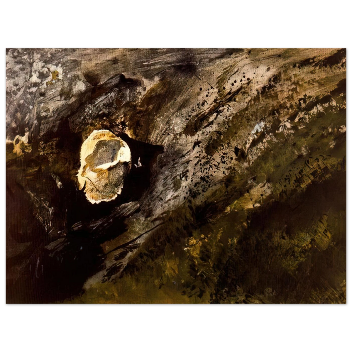Inland Shell by Andrew Wyeth – art poster, view 2